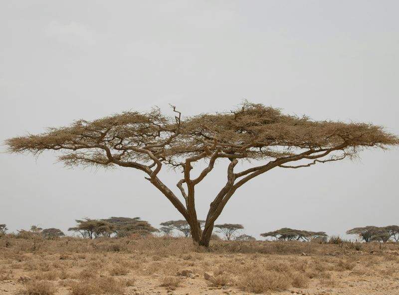 ReiseTraum GmbH - Image 13